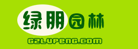 ݻ/ľ/ֲ